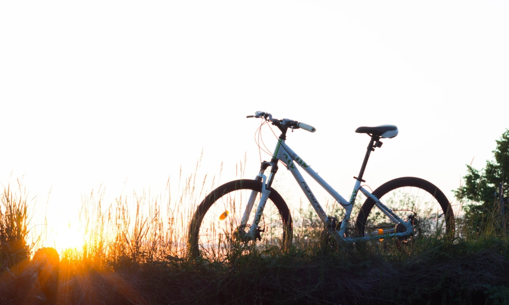 Bike parked outside on a summer morning