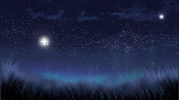 Picture of a night sky with stars above and grass field