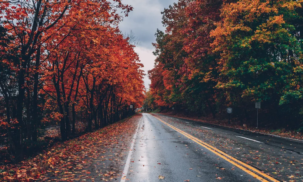 Empty highway in the fall