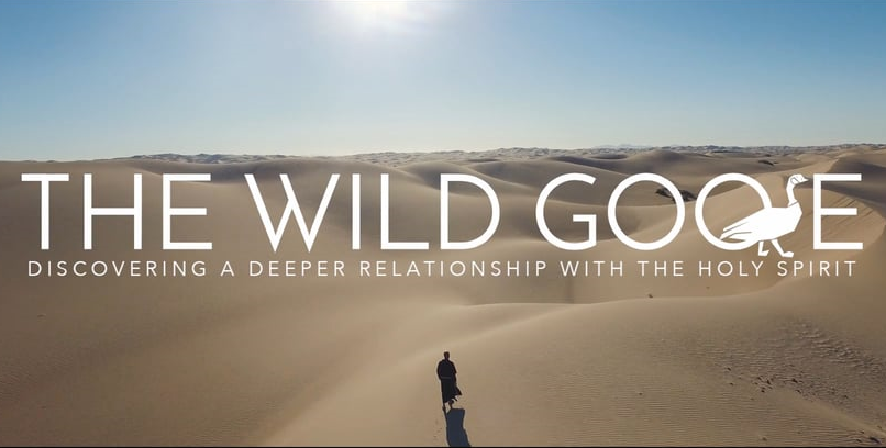 The Wild Goose Discovering a Deeper Relationship with t