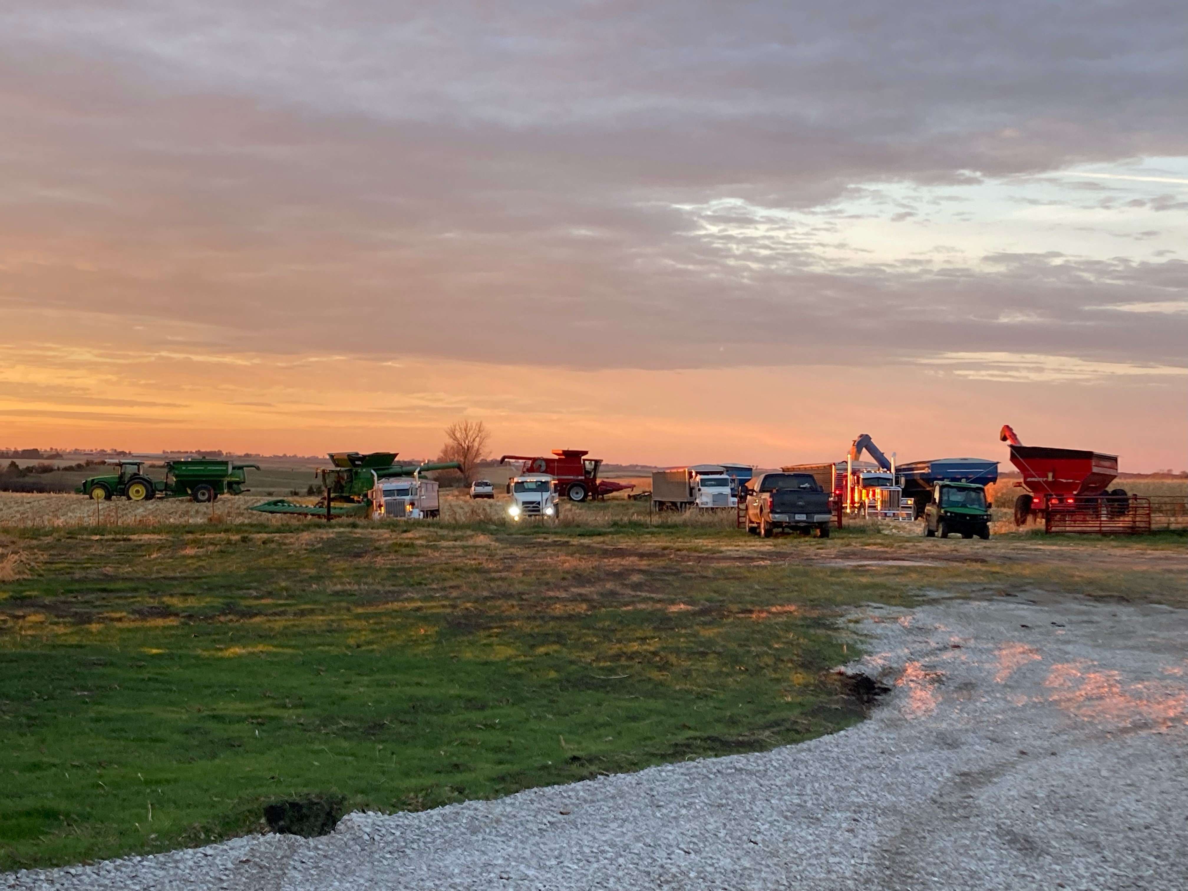 Combines in a farm field