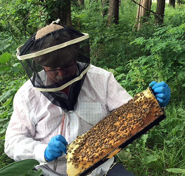 Father Fitzgerald tends to his bees