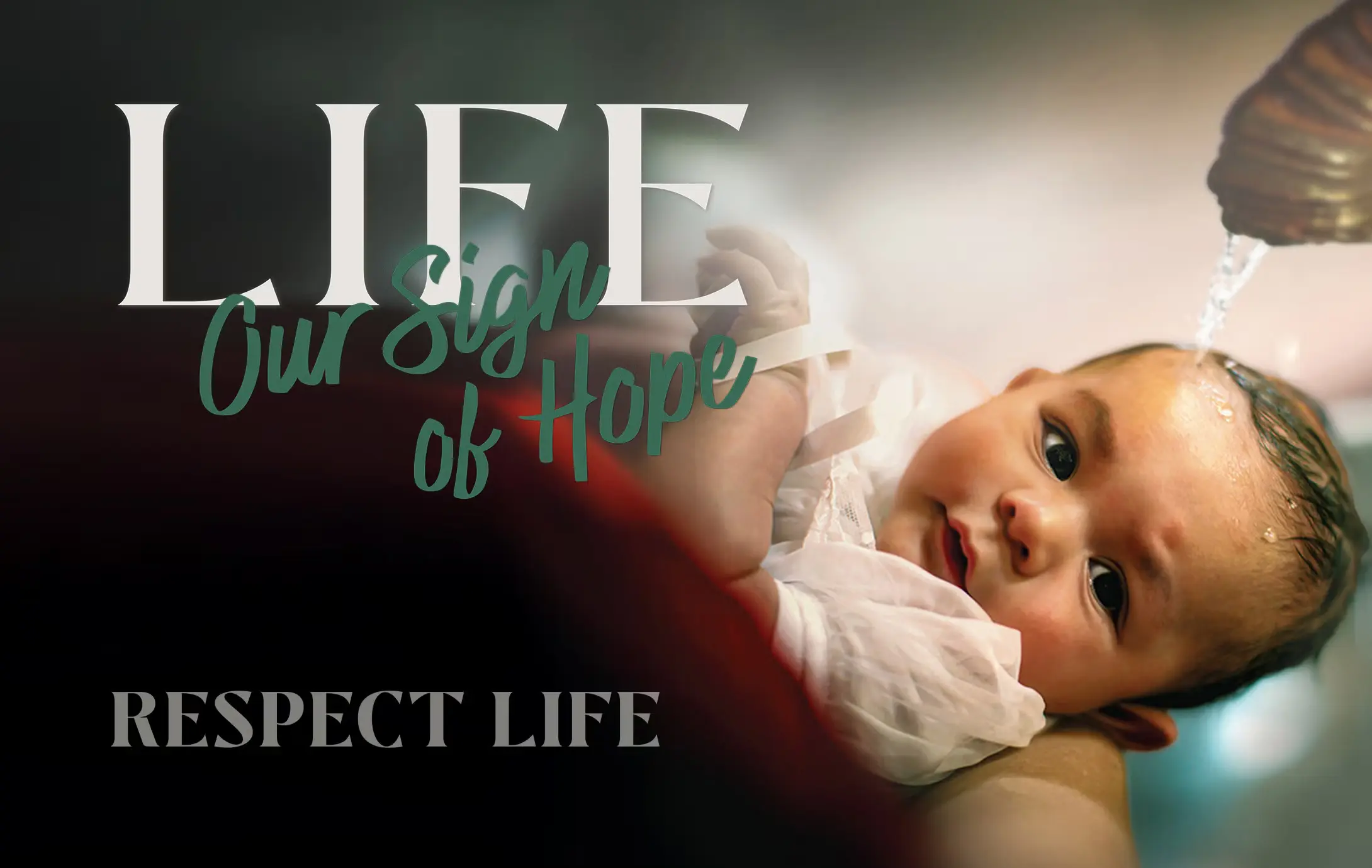 Life: Our Sign of Hope